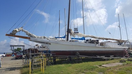 129549848 scaled 445x250